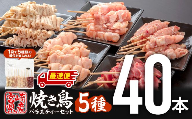 【最速便】宮崎県産若鶏 焼き鳥5種(40本) バラエティーセット_M146-015-2W