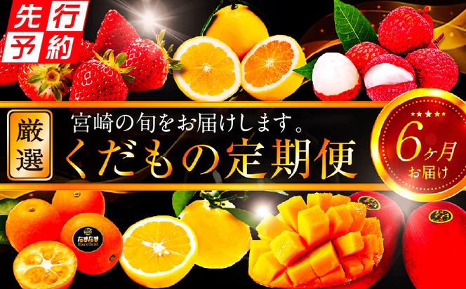 《2025年発送先行予約》【期間・数量限定】青果店厳選！「6ヶ月お届け！くだもの定期便Vol.3」_M153-T027