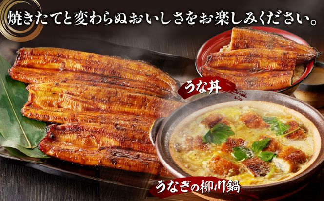 【宮崎県産】特大うなぎ備長炭手焼き蒲焼3尾(660g)_M159-011