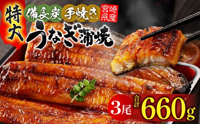 【宮崎県産】特大うなぎ備長炭手焼き蒲焼3尾(660g)_M159-011