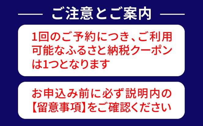 Relux旅行クーポンで宮崎市内の宿に泊まろう(15,000円相当を寄付より1ヶ月後に発行)_M160-003