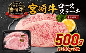 宮崎牛ロースステーキ 500g_M179-023