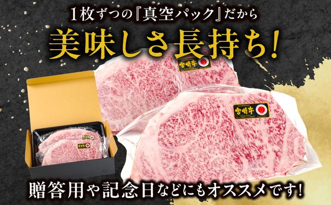 宮崎牛ロースステーキ 500g_M179-023