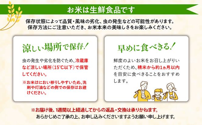 【令和6年度米】宮崎県産ヒノヒカリ 5kg×2袋 合計10kg_M343-001