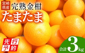 《2025年発送先行予約》【期間・数量限定】完熟金柑たまたま 約3kg_M184-007