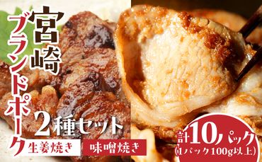宮崎ブランドポーク2種セット　生姜焼き・味噌焼きセット　計10パック（1パック100g以上）_M199-002