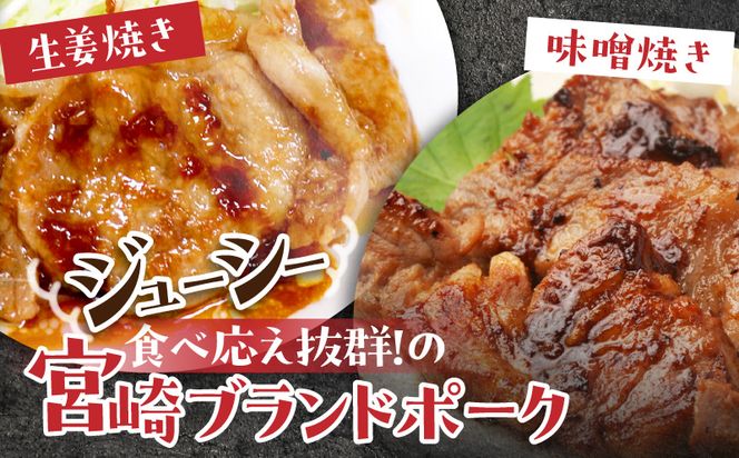 宮崎ブランドポーク2種セット　生姜焼き・味噌焼きセット　計10パック（1パック100g以上）_M199-002