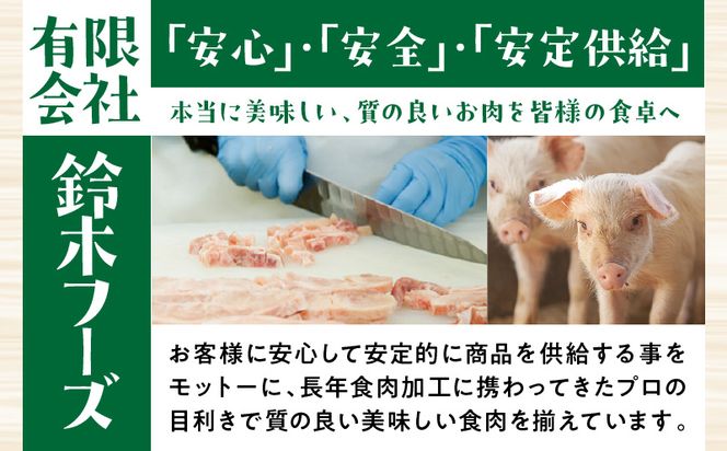 宮崎ブランドポーク2種セット　生姜焼き・味噌焼きセット　計10パック（1パック100g以上）_M199-002