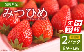 《2025年発送先行予約》【期間・数量限定】【贈答用】宮崎県産いちご みつひめ 2パック_M209-001