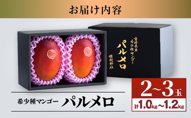 《2024年発送》期間・数量限定 宮崎県産 希少種マンゴー パルメロ 計 約1.0kg～1.2kg 2～3玉入り_M223-001