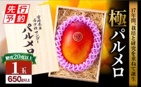 【先行予約】《2025年発送》期間・数量限定 宮崎県産 希少種マンゴー (極)パルメロ 650g以上 糖度20度以上 1玉入り_M223-002