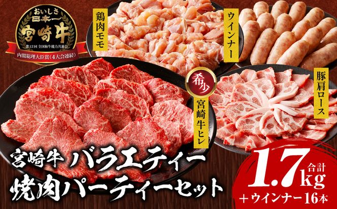 宮崎牛 バラエティー焼肉パーティーセット_M243-039