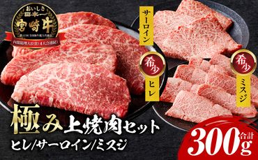 宮崎牛 極み上焼肉セット_M243-040