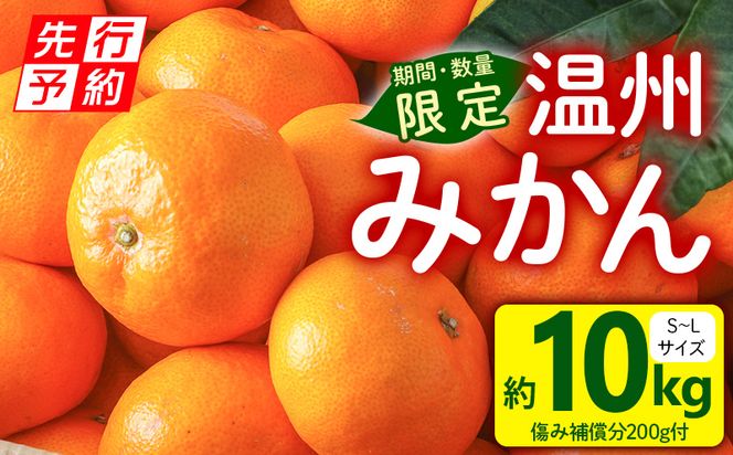 【先行予約】温州みかん 10kg（傷み補償分200g付き）_M249-001