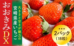 【数量・期間限定】宮崎県産いちご「おおきみDX」2パック（18粒）_M260-005