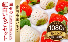 【数量・期間限定】宮崎県産 幸せの紅白いちごセット（おおきみ&天使のいちご）3パック_M260-012