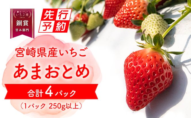 《2025年発送先行予約》【期間・数量限定】いちご「あまおとめ」 (250g×4トレイ・パック)_M267-001