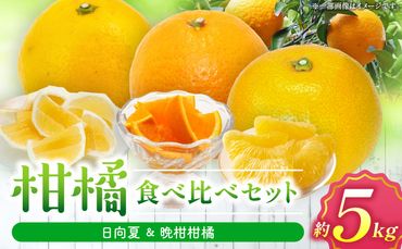 柑橘食べ比べセット5kg（日向夏＆晩柑柑橘）_M271-007