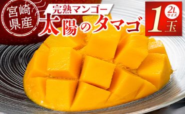 宮崎特産品　宮崎県産完熟マンゴー　太陽のタマゴ　2L×1個_M275-003