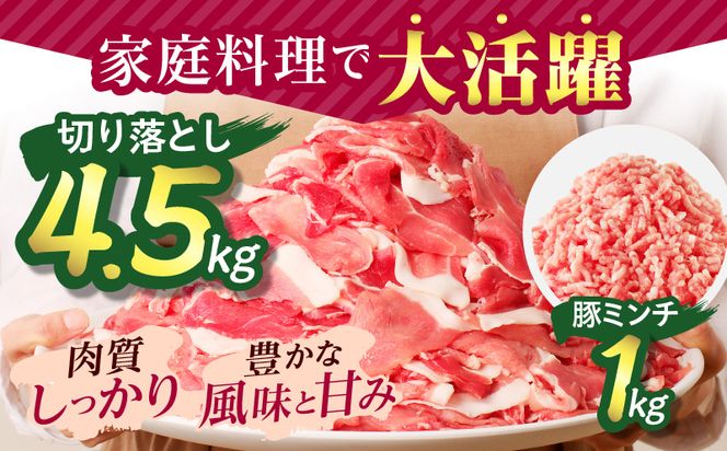 宮崎県産豚肉 切り落とし＆ミンチセット5.5kg_M277-007