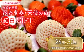 《2025年発送》【期間・数量限定】HOKUSAIGIFT宮崎完熟苺おおきみ・天使の苺紅白_M279-001