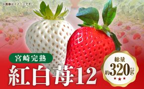 《2025年発送》【期間・数量限定】宮崎完熟紅白苺12_M279-005