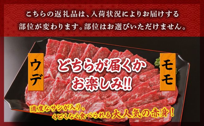 宮崎牛赤身焼肉1kg_M299-003