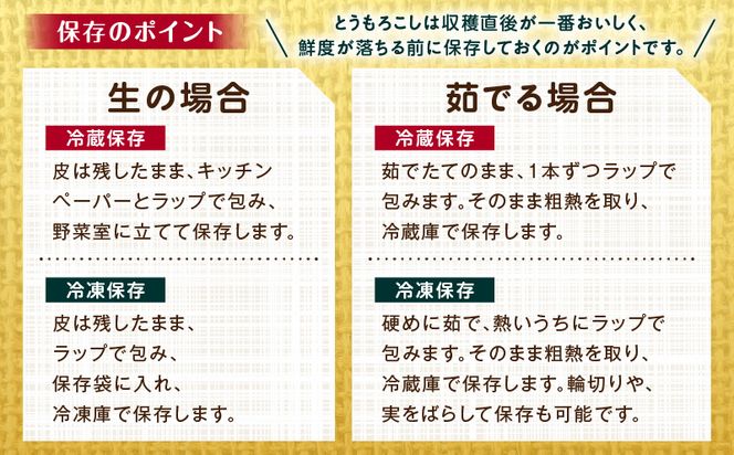 《2025年発送先行予約》宮崎市産朝どれスイートコーン（ゴールドラッシュ）約7kg_M320-001_01