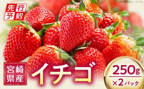 《2025年発送先行予約》宮崎県産イチゴ 250g×2パック_M320-004