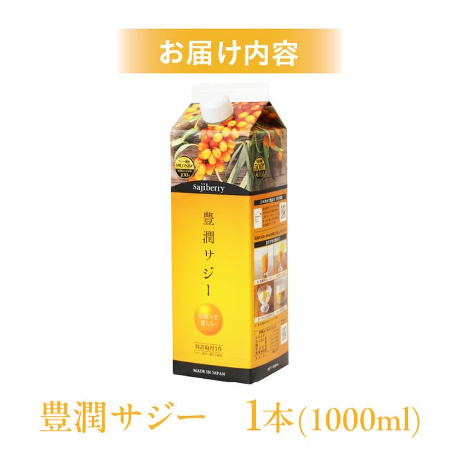 豊潤サジー 1000ml サジージュース【紙パックタイプ】_M327-001（宮崎