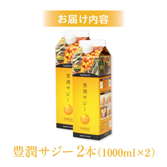 豊潤サジー 1000ml×2本セット サジージュース【紙パックタイプ】_M327-002