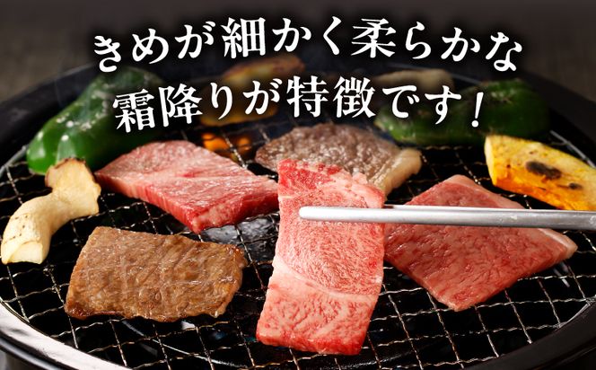 宮崎牛霜降り焼肉_M332-004