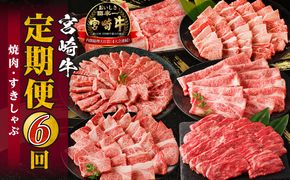 宮崎牛定期便6回（焼肉・すきしゃぶ）_M332-T001