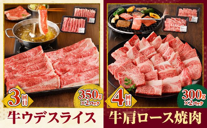 宮崎牛定期便6回（焼肉・すきしゃぶ）_M332-T001