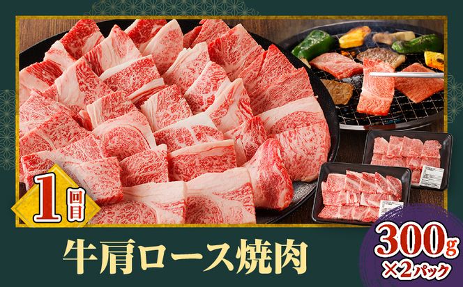 宮崎牛焼肉3回定期便_M332-T002