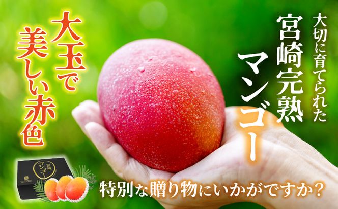 【期間限定】宮崎完熟マンゴー 約1kg L～2Lサイズ（3～4玉）_M338-001
