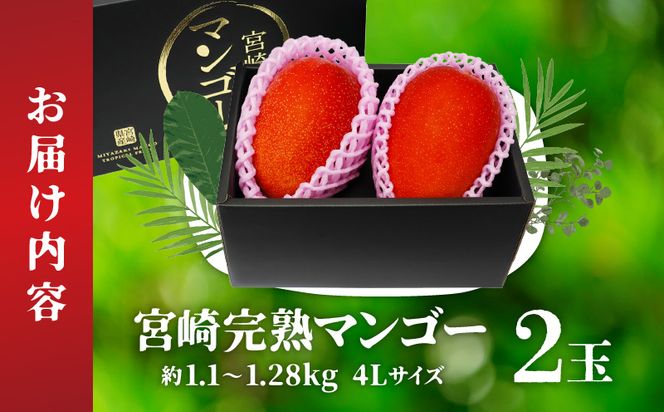 【期間限定】宮崎完熟マンゴー 約1.1～1.28kg 4Lサイズ（2玉）_M338-004