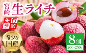 《2025年発送先行予約》【期間・数量限定】宮崎生ライチ_M342-002