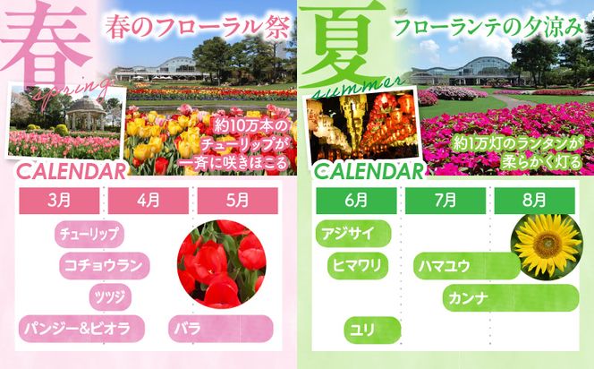 フローランテ宮崎年間パスポート（大人）_M353-002-02