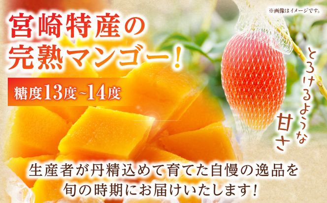 《2025年発送先行予約》【期間・数量限定】完熟マンゴー 3Lサイズ 2玉_M354-002-03