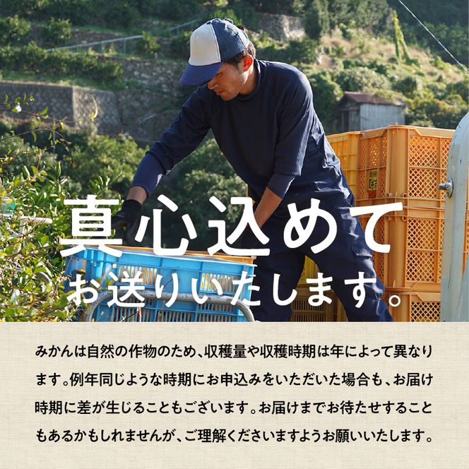 有田みかん「未来への虹」（5kg）(A973-2) 