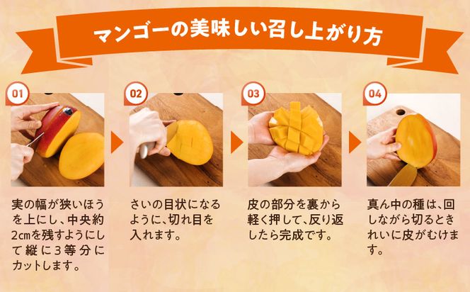 【期間・数量限定】おがたのマンゴー　完熟宮崎マンゴー　900g以上保証　3Lサイズ（450～509g）×2個セット_M161-008_01