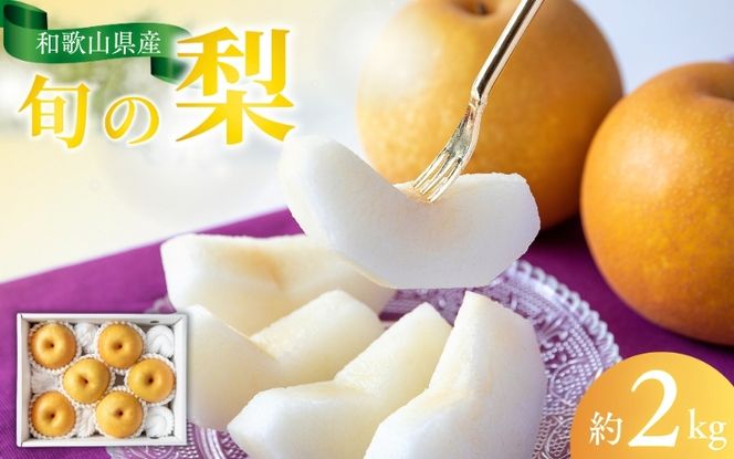 【先行予約受付】 和歌山県産の美味しい梨 約2kg （6〜8玉入り） ※2026年8月中旬頃から9月中旬頃発送予定【mat103B】