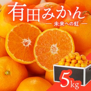 有田みかん「未来への虹」（5kg）(A973-2) 