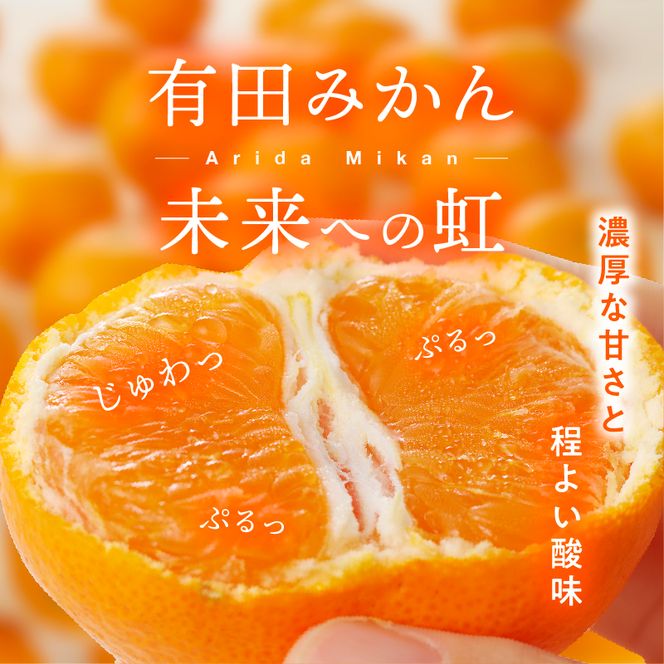 有田みかん「未来への虹」（5kg）(A973-2) 