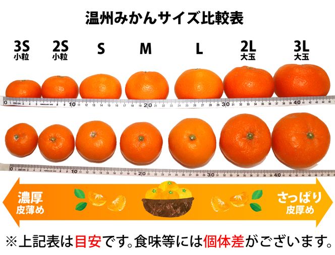 【2024年発送】田村みかん 約4kg(S～L・混合サイズ)【太地グルメ市場】【miw205A】