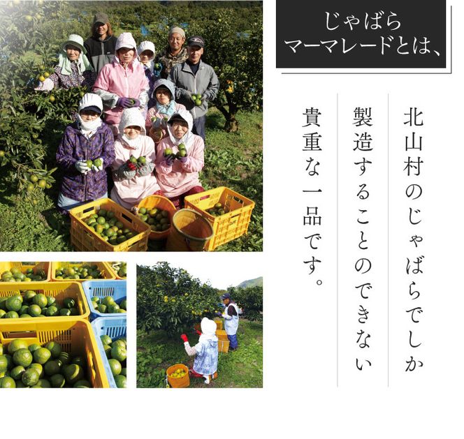 じゃばらマーマーレード 140g×2個 【njb333A】