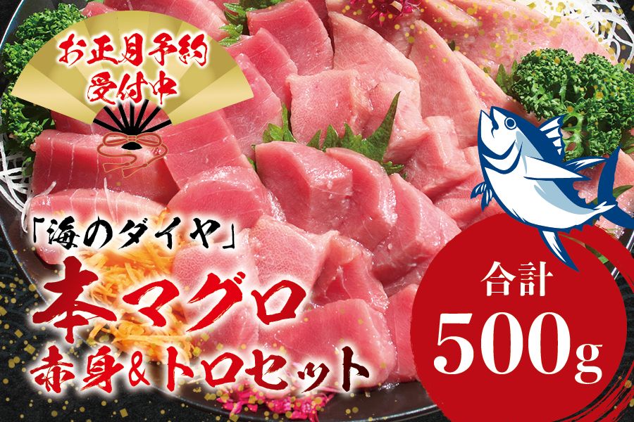 本マグロ(養殖)トロ&赤身セット 500g [12月26日〜30日に発送]高級 クロマグロ 中トロ 中とろ まぐろ マグロ 鮪 赤身 柵 年内配送 年内発送 お正月 正月[nks110B-sg]