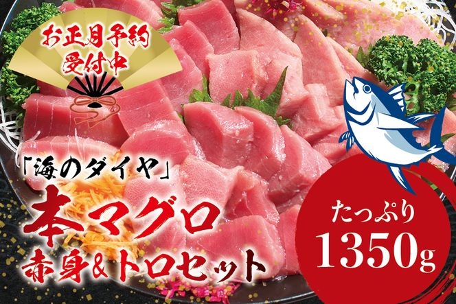 本マグロ(養殖)トロ＆赤身セット 1350g【12月26日～30日に発送】高級 クロマグロ  中トロ まぐろ マグロ 鮪 刺身 赤身 柵 本鮪 年内配送 年内発送 お正月 正月【nks111B-sg】