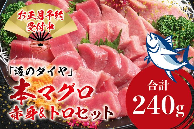 本マグロ（養殖）トロ＆赤身セット 240g 【12月26日～30日に発送】高級 クロマグロ  中トロ まぐろ マグロ 鮪 刺身 赤身 柵 じゃばらまぐろ 本マグロ 本鮪【nks113B-sg】